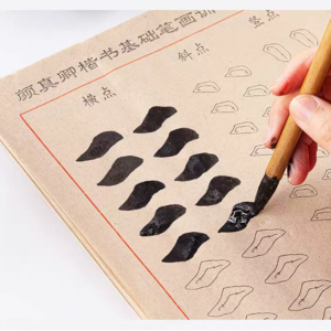 Papier calque sur les traits fondamentaux (niveau débutant)