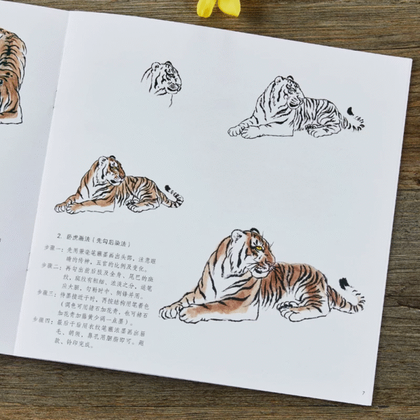 Apprendre à peindre le tigre – Image 4
