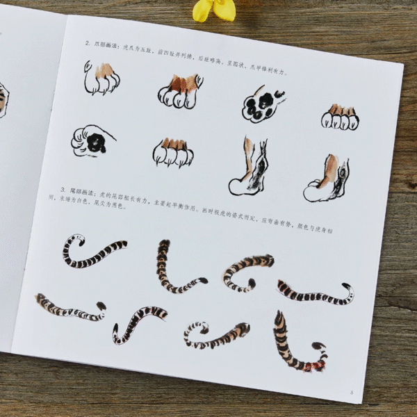 Apprendre à peindre le tigre – Image 9