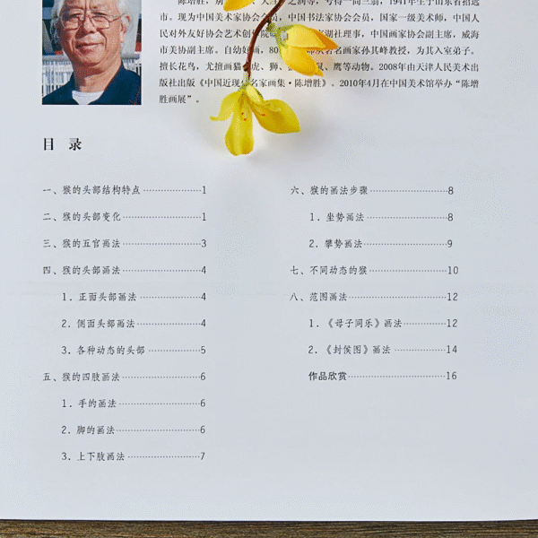 Apprendre à peindre le singe – Image 2