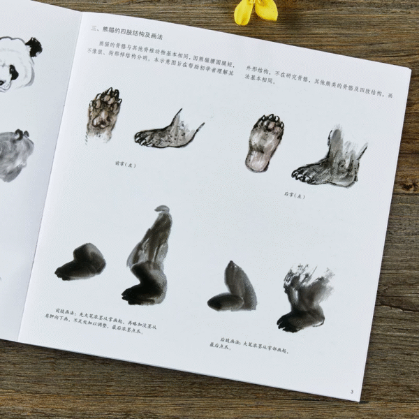 Apprendre à peindre le panda et l'ours – Image 3
