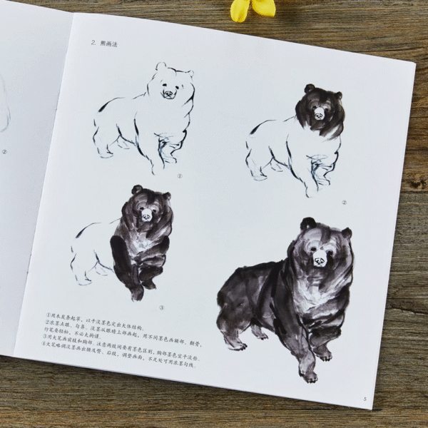 Apprendre à peindre le panda et l'ours – Image 4