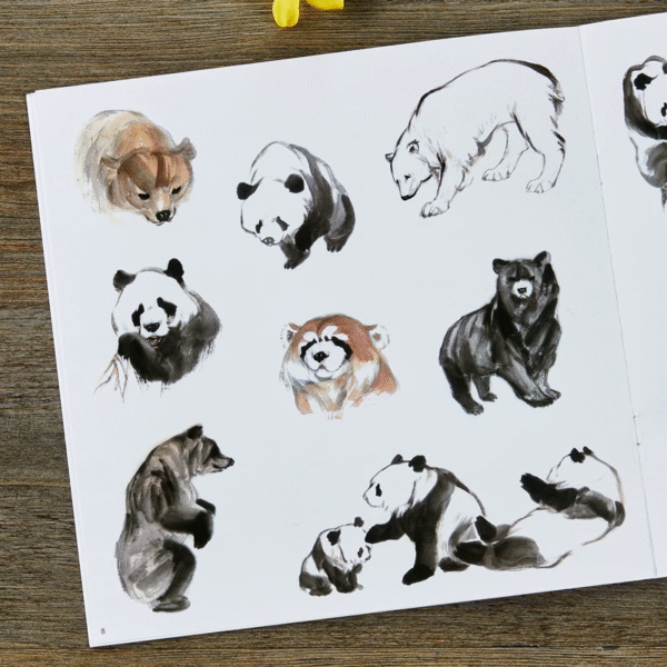 Apprendre à peindre le panda et l'ours – Image 5
