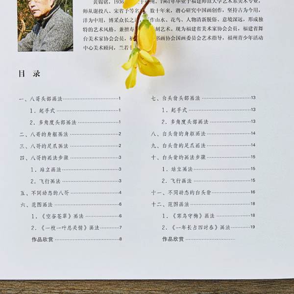 Martin huppé et bulbul de Chine – Image 2