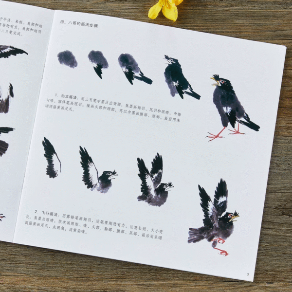 Martin huppé et bulbul de Chine – Image 3