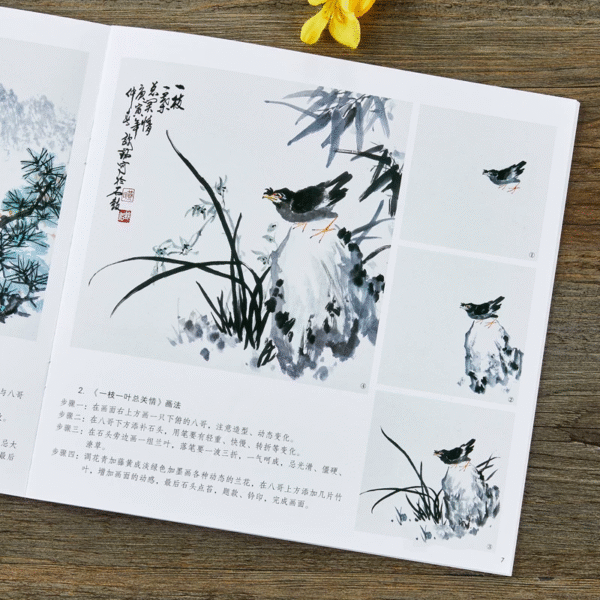 Martin huppé et bulbul de Chine – Image 5