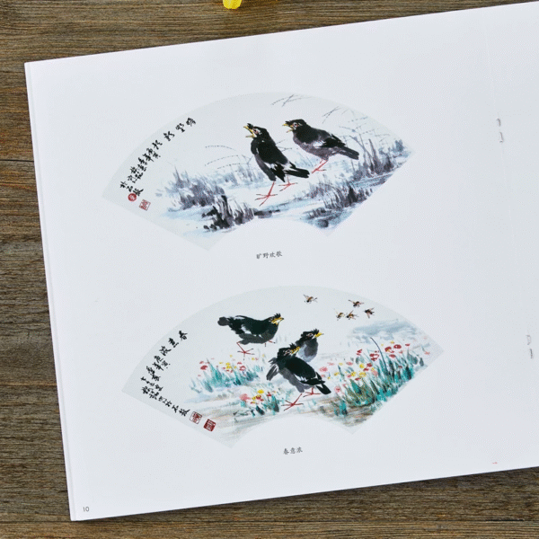 Martin huppé et bulbul de Chine – Image 8