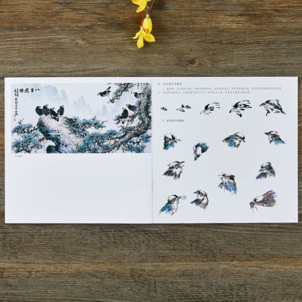 Martin huppé et bulbul de Chine – Image 11