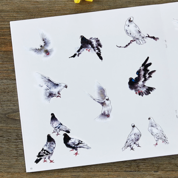 Apprendre à peindre le pigeon – Image 5