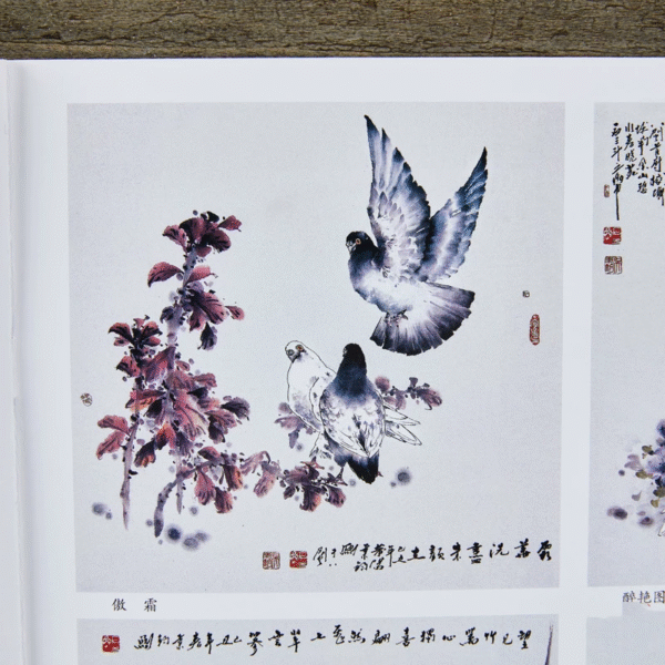 Apprendre à peindre le pigeon – Image 7