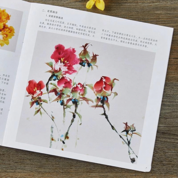 La pivoine – Image 5