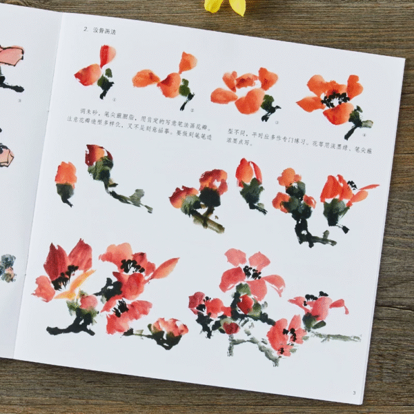 Fleurs de kapok – Image 4