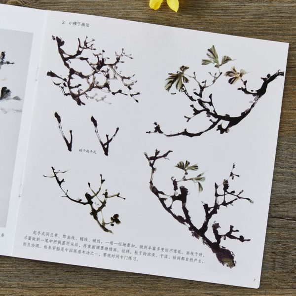 Fleurs de kapok – Image 3