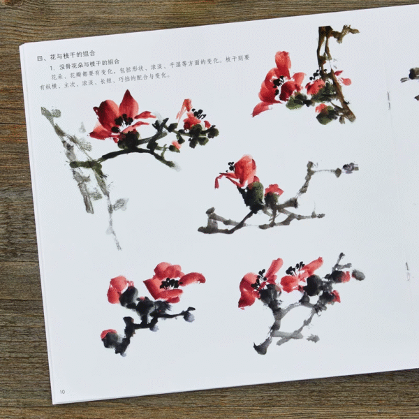Fleurs de kapok – Image 5